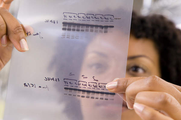 genetic information image