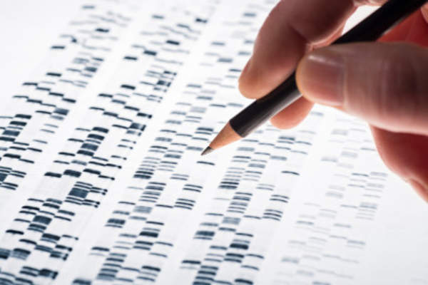Gene sequence.