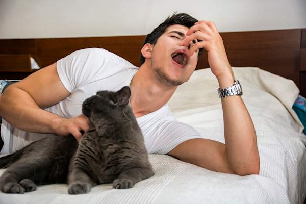 Man lying on bed petting cat and sneezing