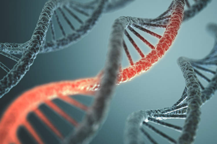 DNA structures