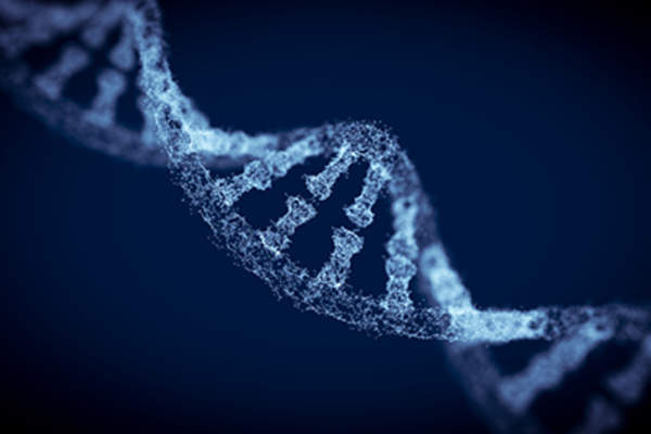 DNA strand