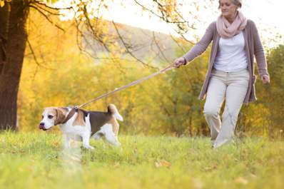 woman walking dog in park