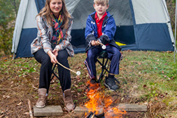 roasting marshmallows image
