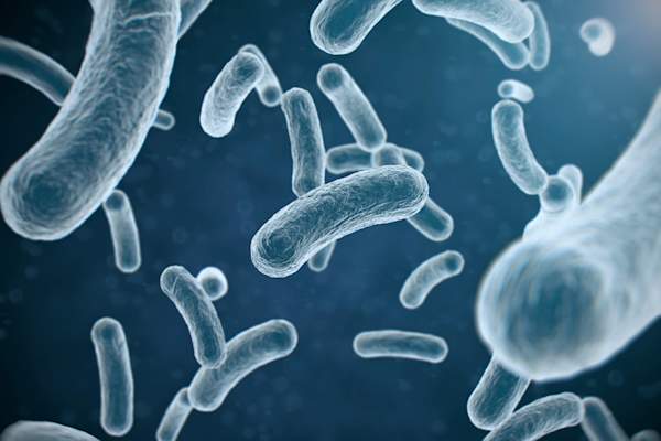 Close up on viruses.