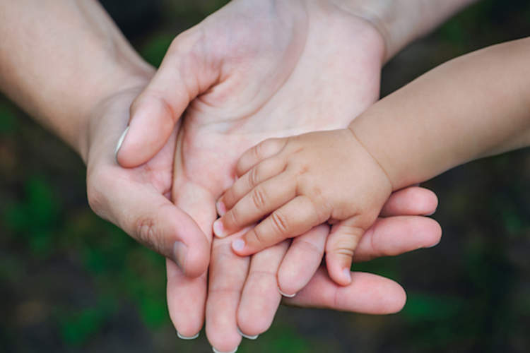 Three hands of the same family.