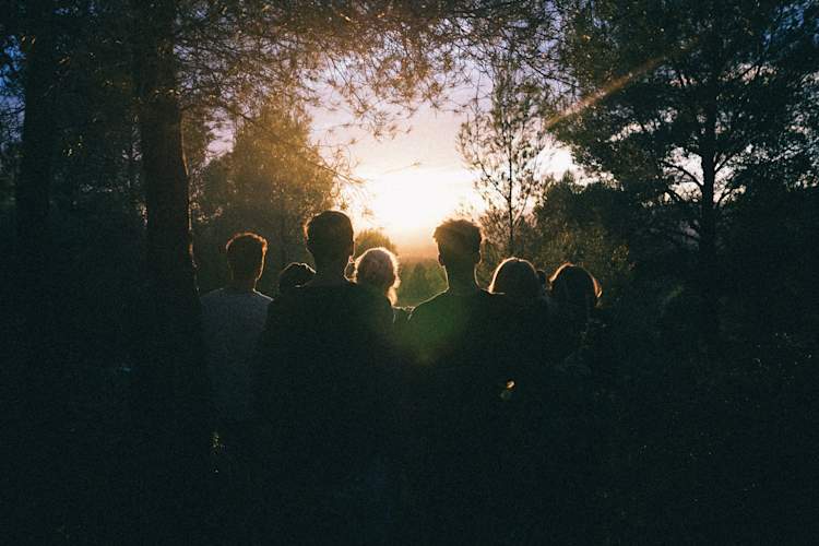 group of people backlit in the woods