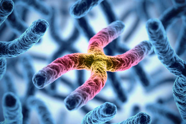 chromosome