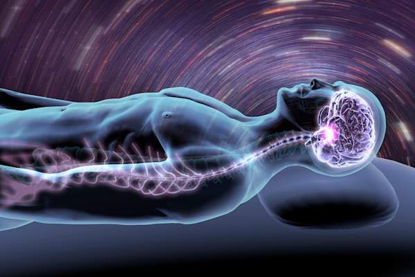 Brain and spinal cord highlighted in male body.