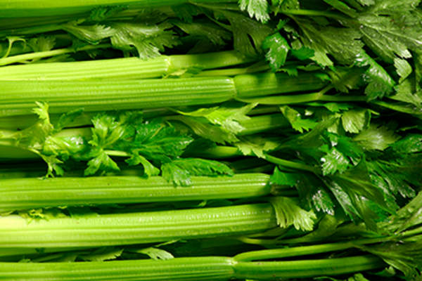 Celery
