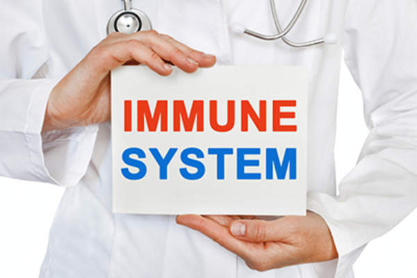 Doctor holding immune system sign.