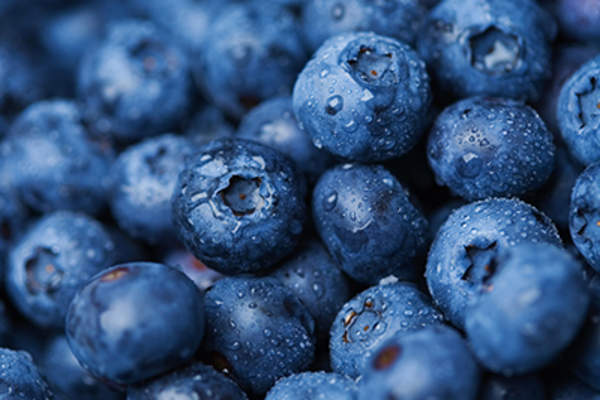 Blueberries