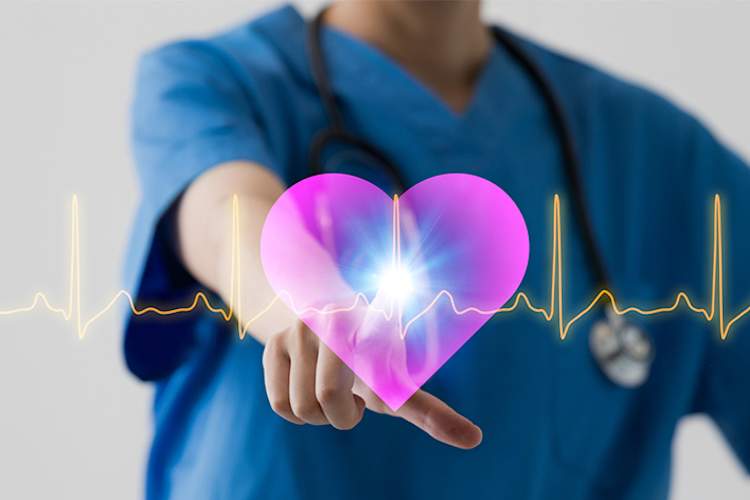 Heart and heart health medical concept.