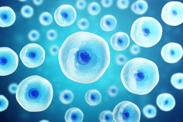 Blue blood cells immune system concept.