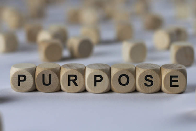 Purpose boggle letters