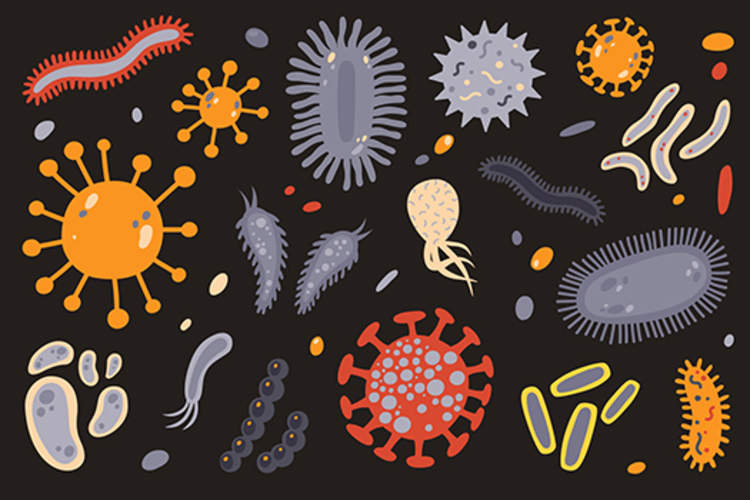 Various microorganisms.