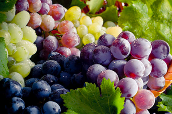 Grapes