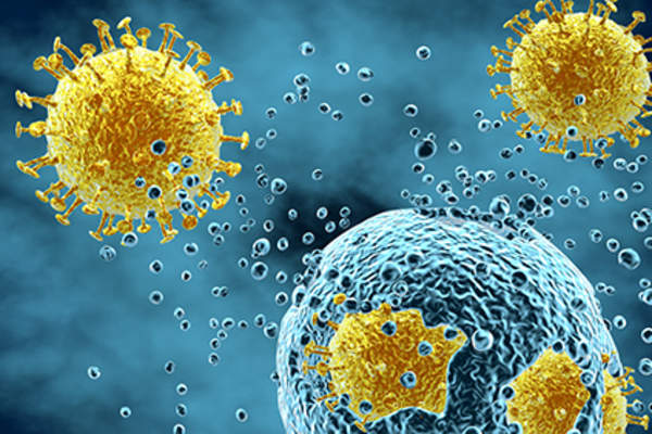 Immune system fighting disease.