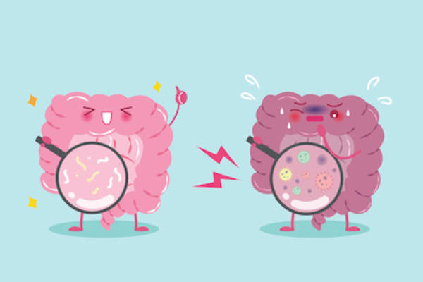 Good gut, bad gut, cartoon image of intestines.