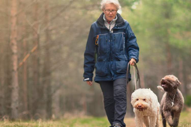 Why Walking a Dog Does a Body Good