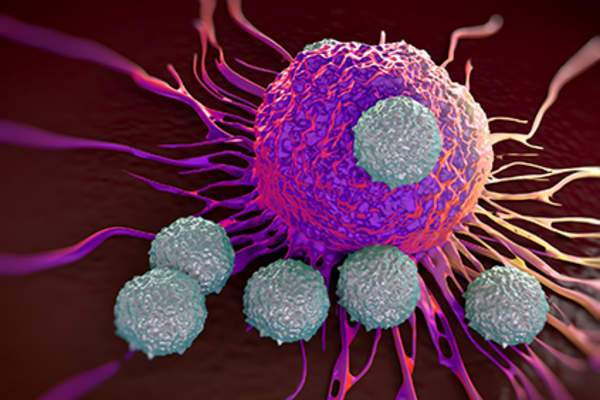 T-cells fighting cancer cell after immunotherapy treatment.
