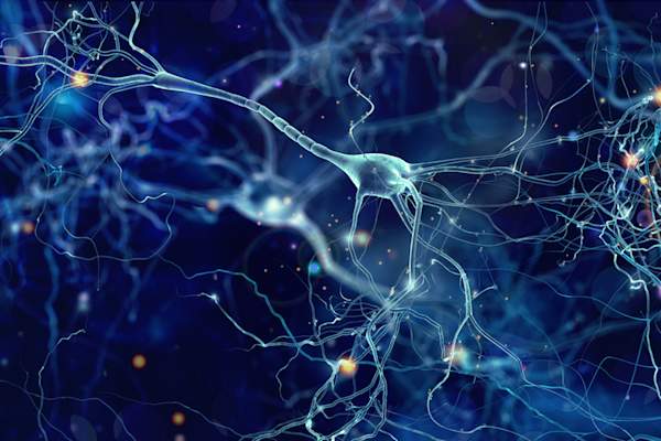 Neurons cells concept