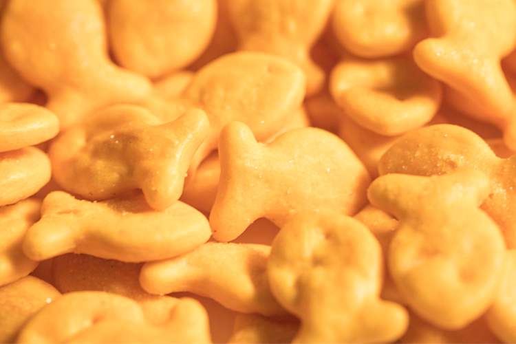 Goldfish cheddar crackers.
