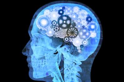 Gears as brains