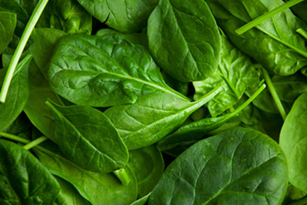 Spinach leaves.