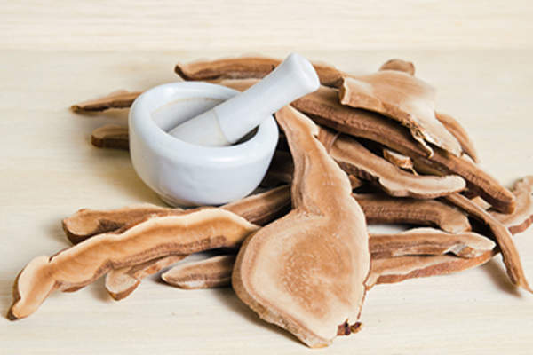 Reishi mushrooms.