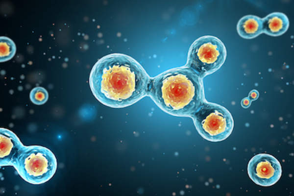 Cell division on blue background.