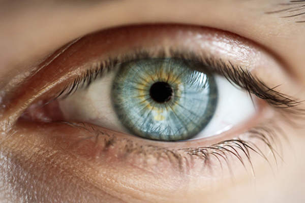 Close up of eye, blue iris.
