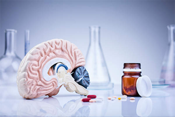 Model brain and drugs.