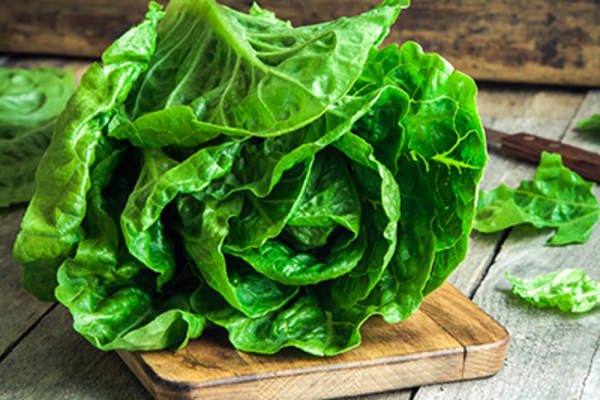 Lettuce