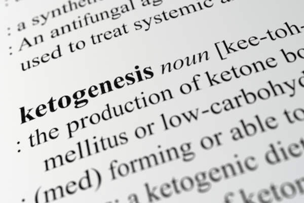 Ketogenesis definition page close up.