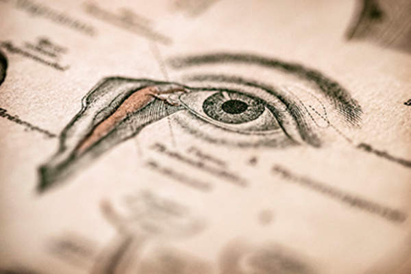 Eye anatomy diagram.