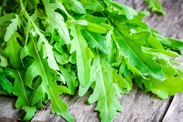 Bunch of fresh organic arugula.