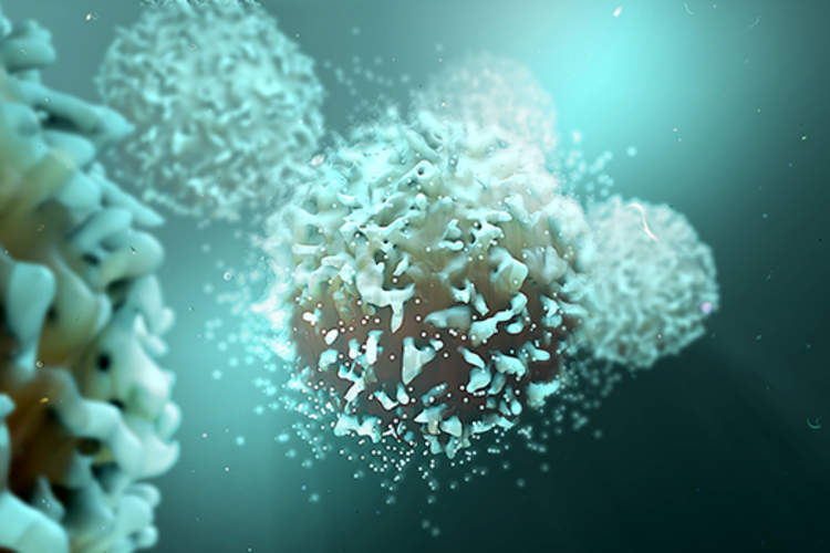 T-cells.