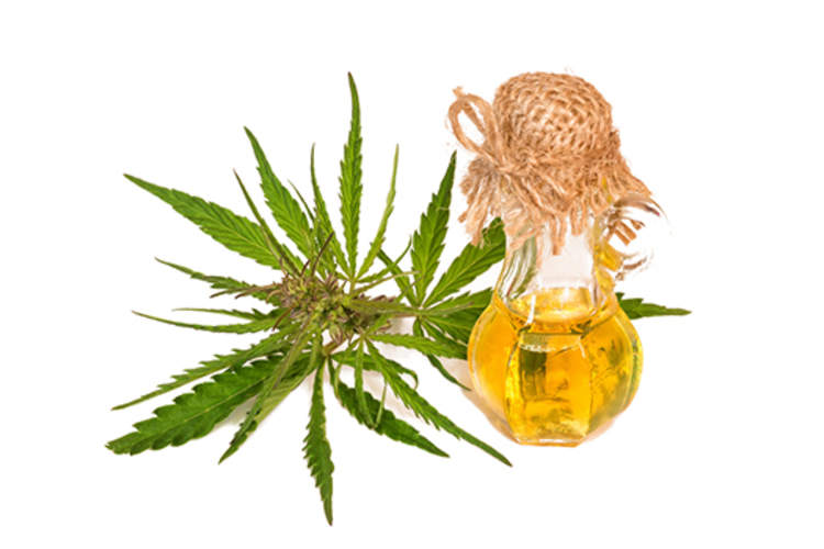 Medical marijuana leaves and tincture.