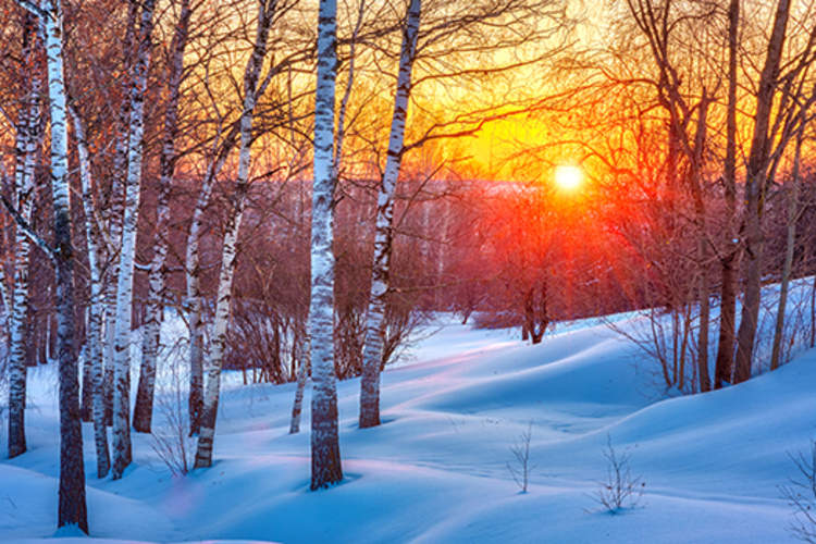 Colorful winter sunset.