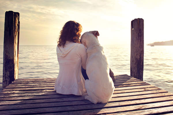 woman and dog on pier image