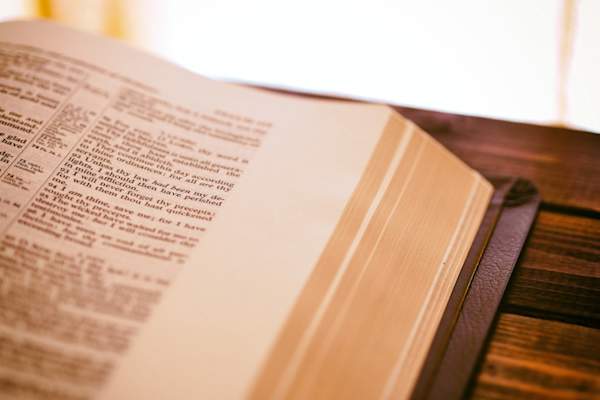 close up of dictionary, selective focus