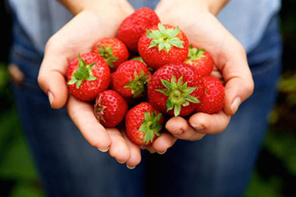 Handful of strawberries.