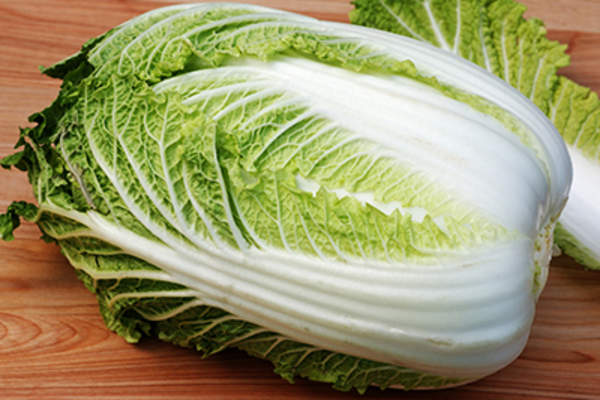 Chinese cabbage.