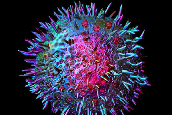 Mast cell.