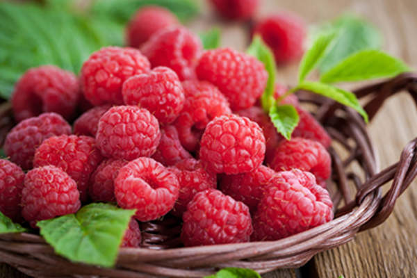Ripe raspberry with leaves
