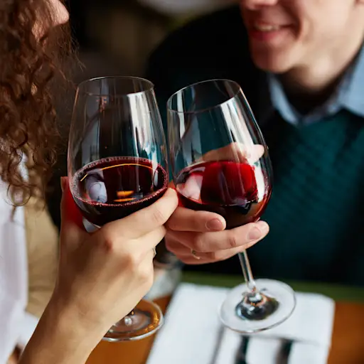 Couple toasting with red wine.