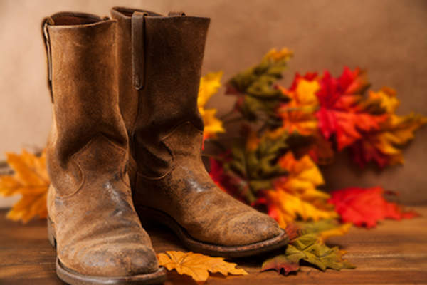 Cowboy boots.