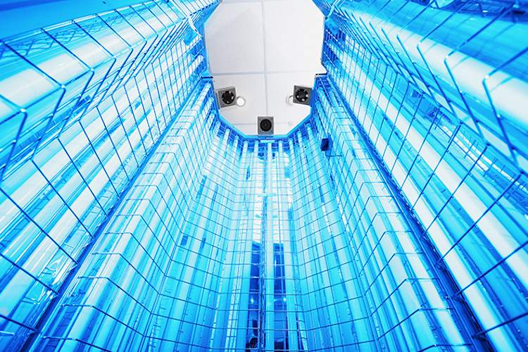 Empty capsule for full-body phototherapy