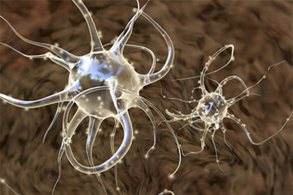 Heightened nerve cells.