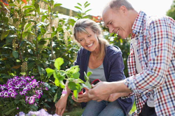 Gardening with spouse.